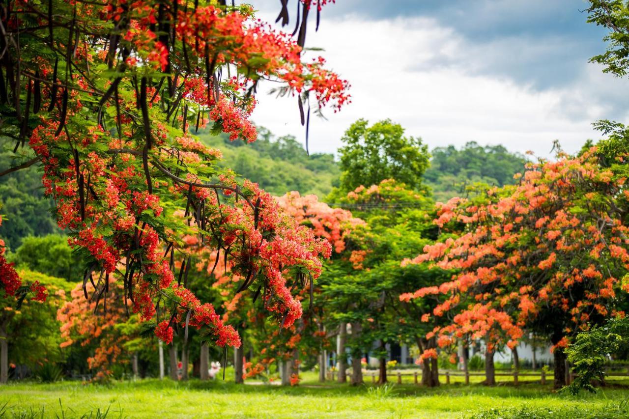 Diamond Hill Resort Nong Nam Daeng Esterno foto
